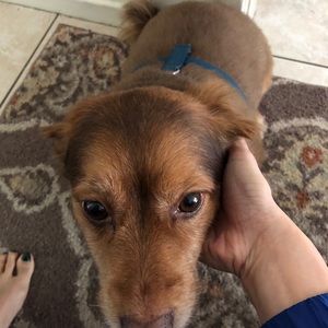 Meet your Posher, Dorothy